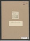 Coscinodiscus irroratus Castr. (de-Toni-Nr.: Genus 202, Species 5143) Zeichnungen Sammlung Grunow Nr. 8895 (NHMW-BOT-W0378547)